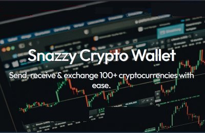 Snazzy Crypto Wallet